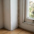 Mørke skimmelpletter i hjørnet af en væg derhjemme, tegn på skimmelsvamp